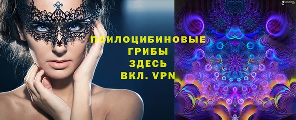бутират Бородино