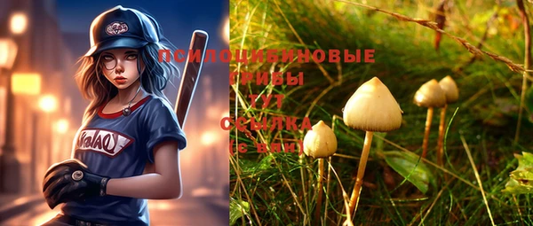 не бодяженный Арсеньев