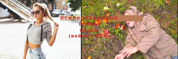 не бодяженный Арсеньев